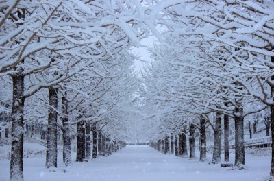 雪景色